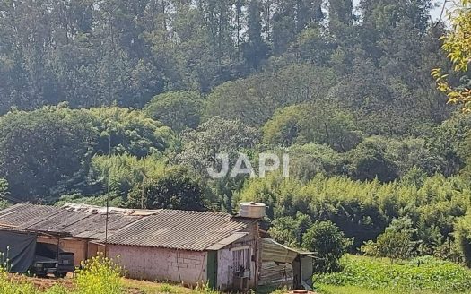 Terreno Padrão à venda