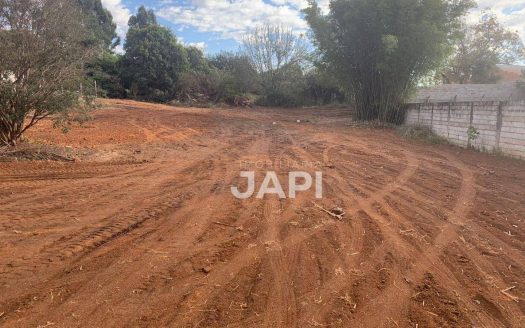 Terreno Padrão para alugar