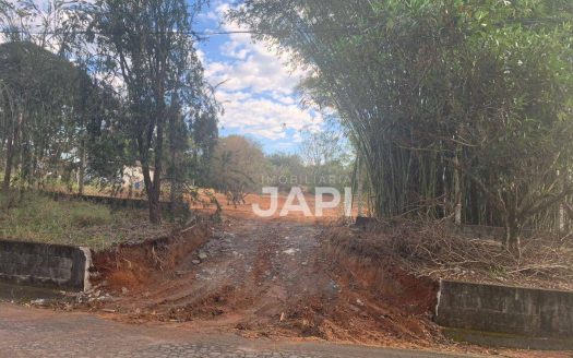 Terreno Padrão para alugar